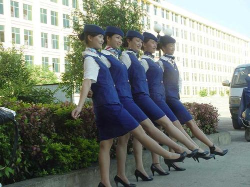 飞机票- 郑州电子机票代理,机票代理优势,一级票务代理