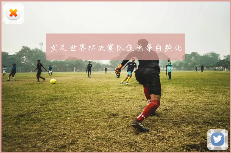 女足世界杯决赛队伍竞争白热化