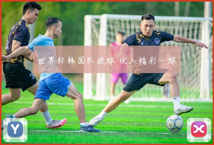 世界杯韩国队进球 攻入精彩一球