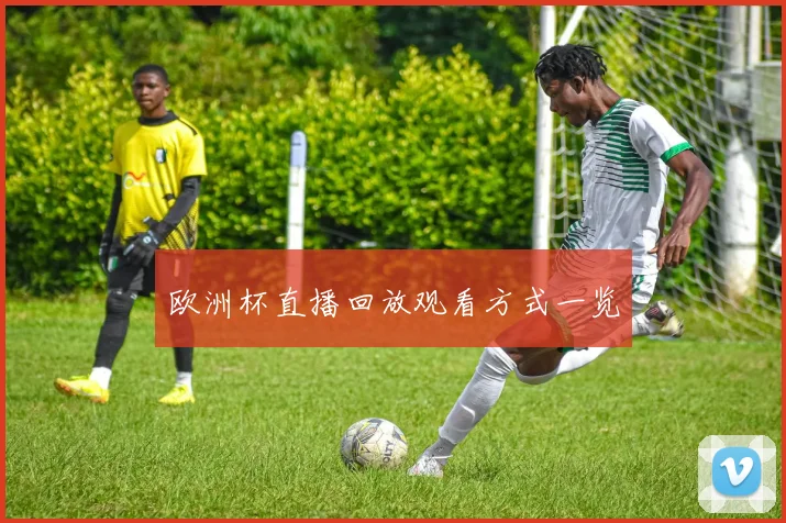 欧洲杯直播回放观看方式一览