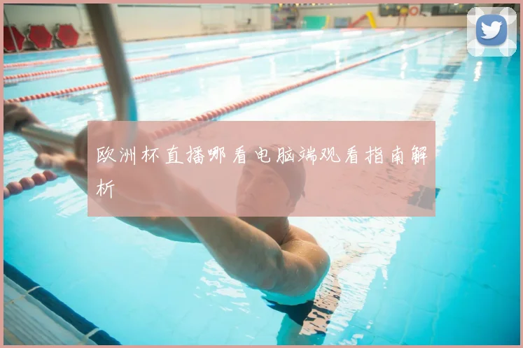 欧洲杯直播哪看电脑端观看指南解析