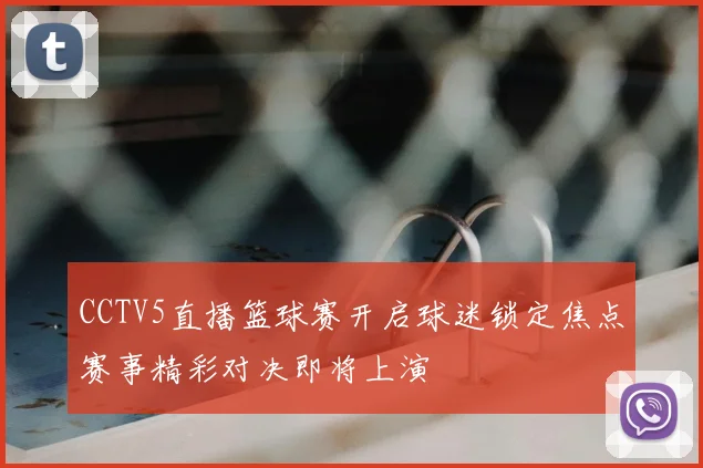 CCTV5直播篮球赛开启球迷锁定焦点赛事精彩对决即将上演