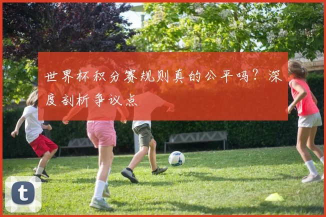 世界杯积分赛规则真的公平吗？深度剖析争议点