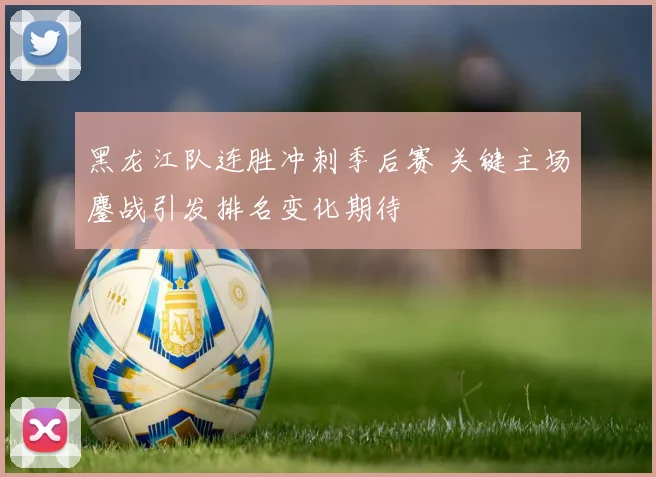 黑龙江队连胜冲刺季后赛 关键主场鏖战引发排名变化期待