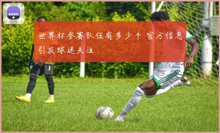 世界杯参赛队伍有多少个 官方信息引发球迷关注